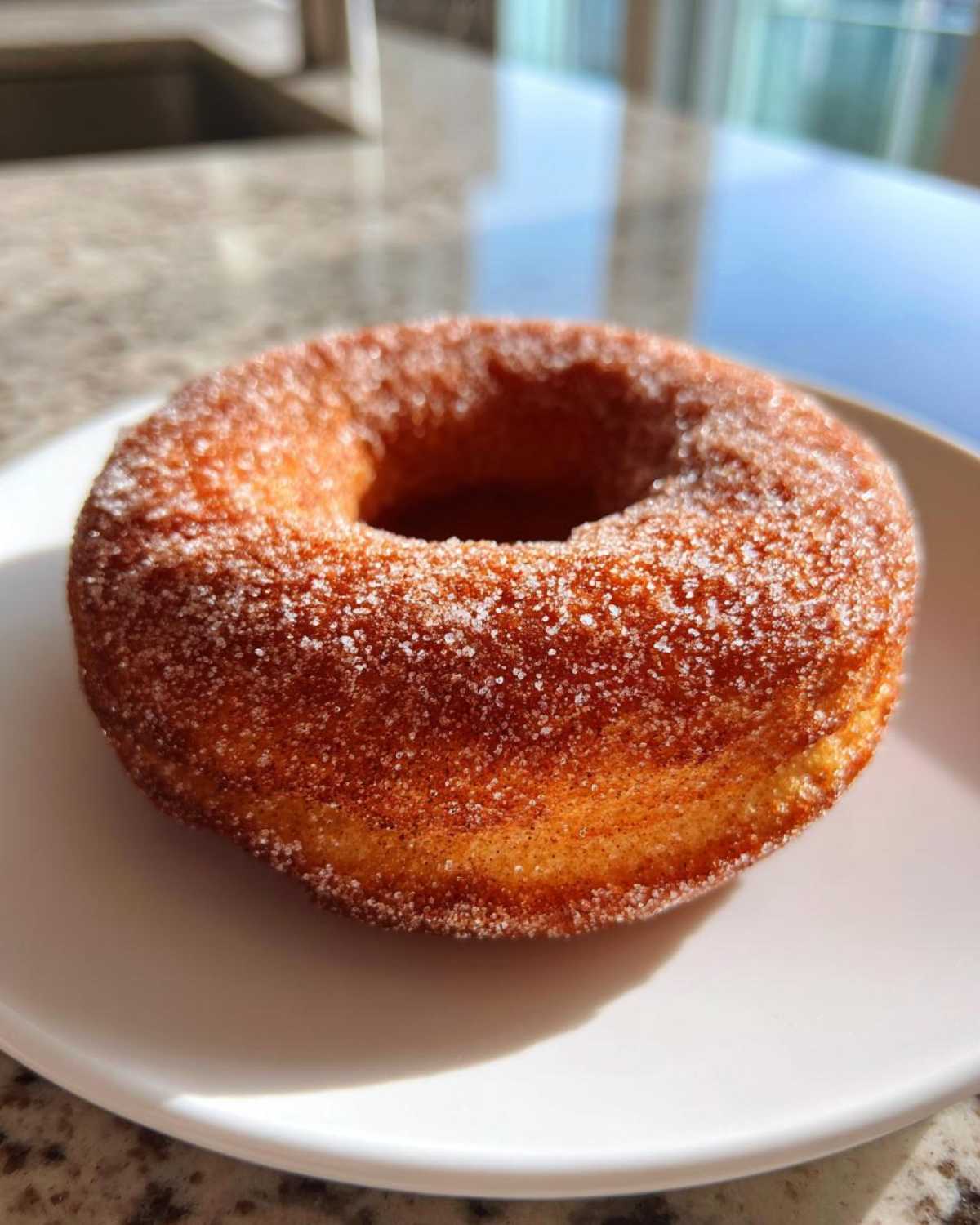 Baked Apple Cider Donuts - detail 1