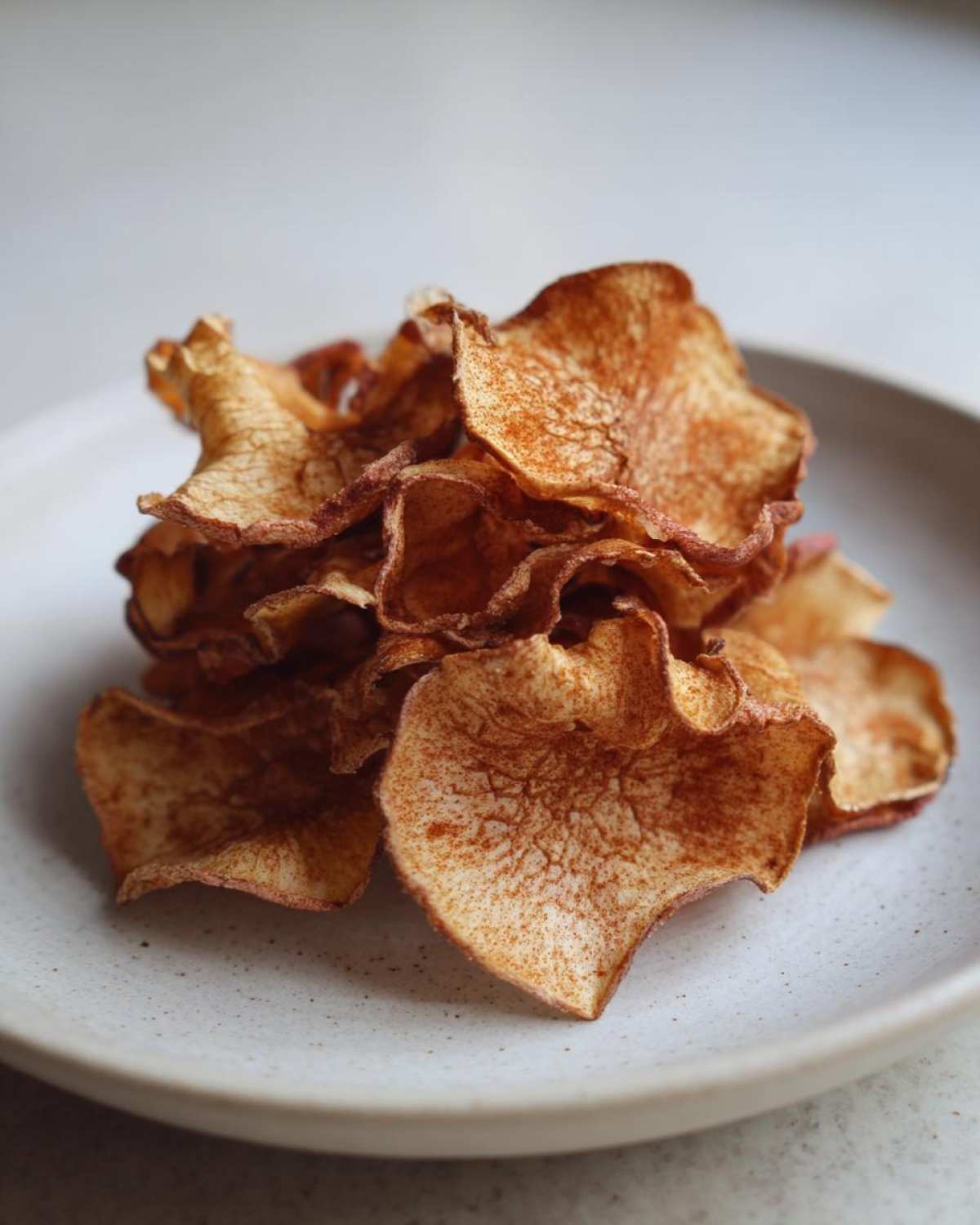 Baked Cinnamon Apple Chips - detail 4