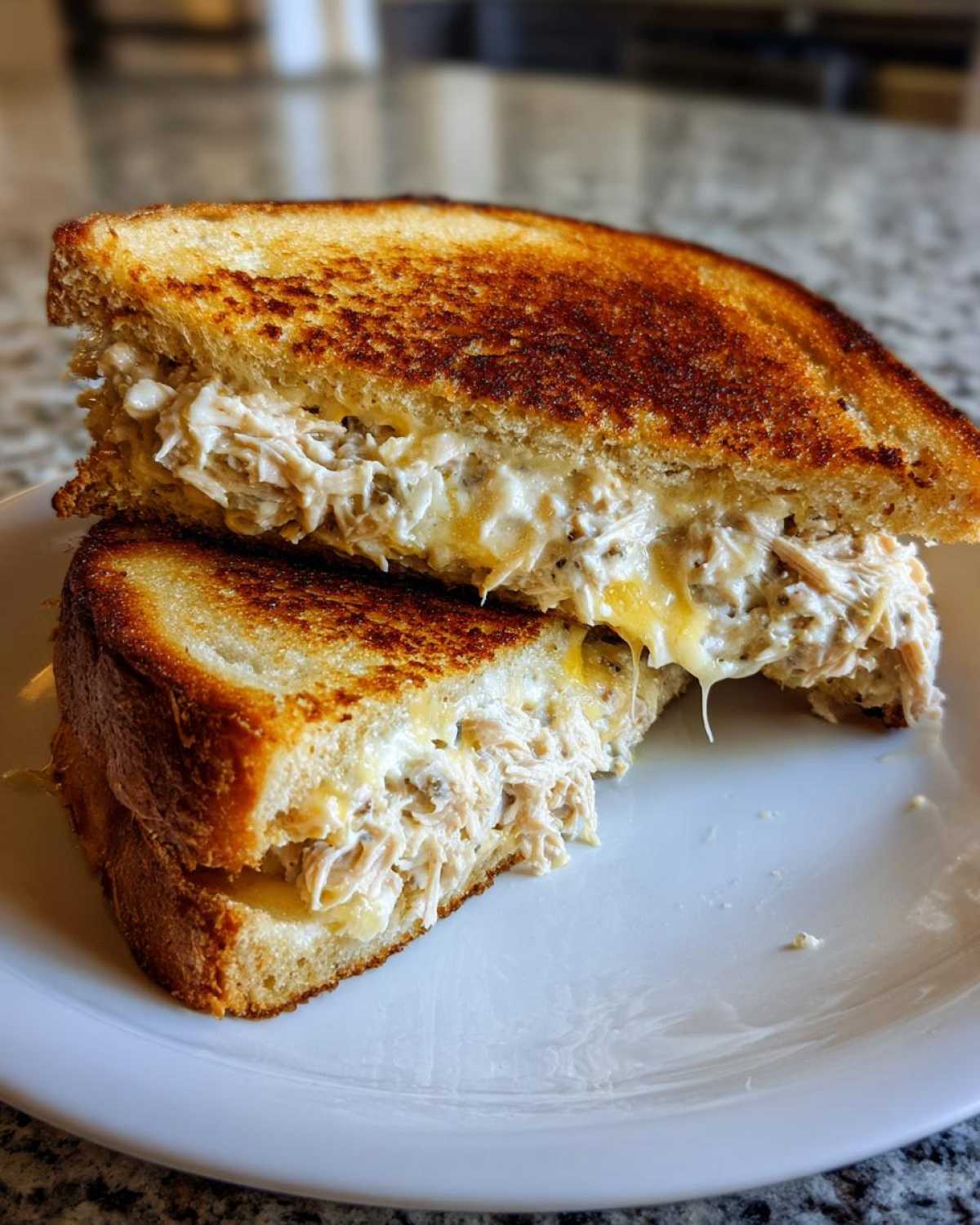 Classic tuna melt - detail 1